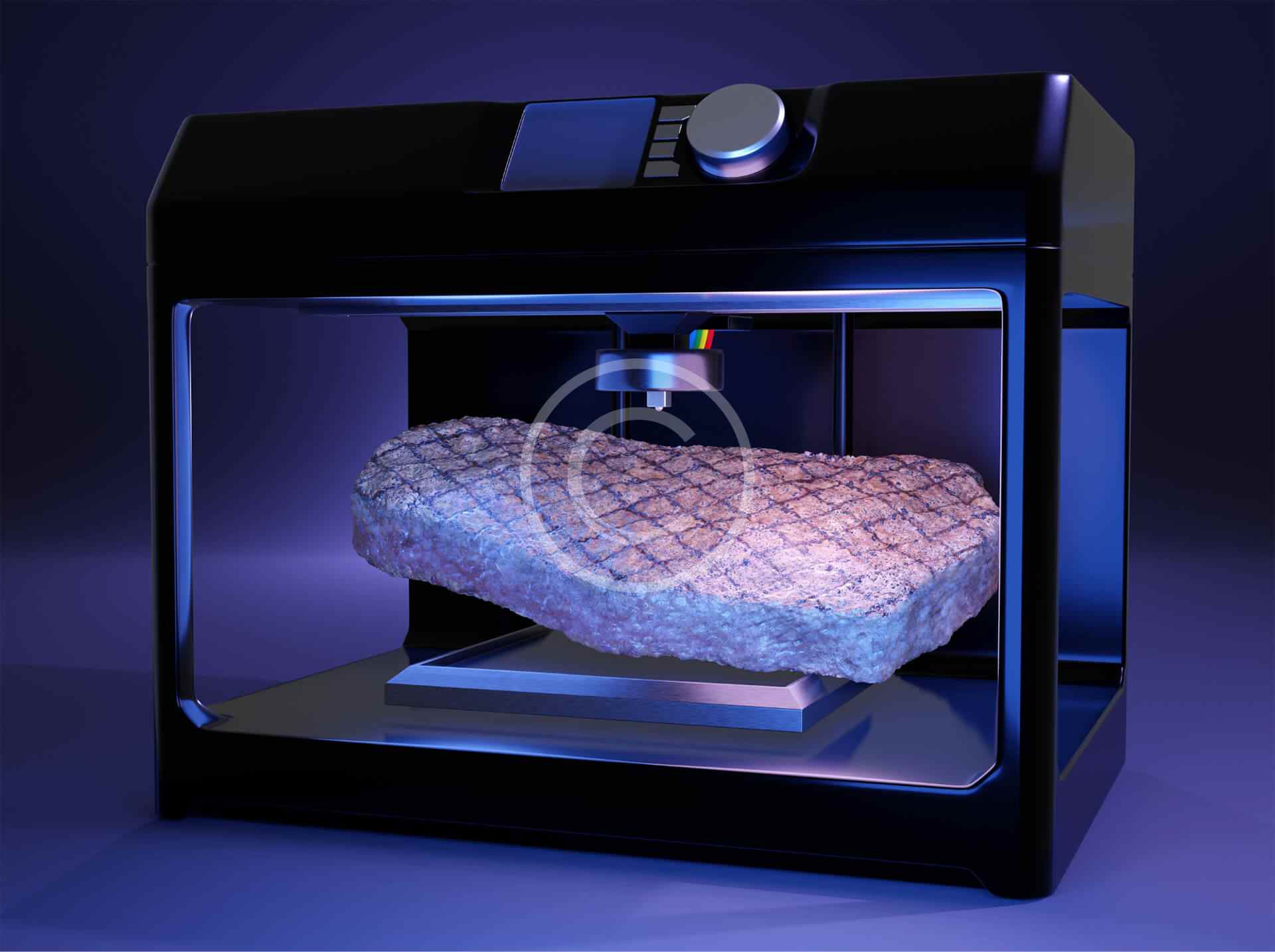 Fibras de Vidro (reforço do Onyx)